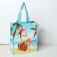 reusable pp shopping bag,non woven pp shopping bag ,handled pp shopping bag